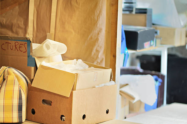 Best Office Junk Removal  in Mapleton, MN